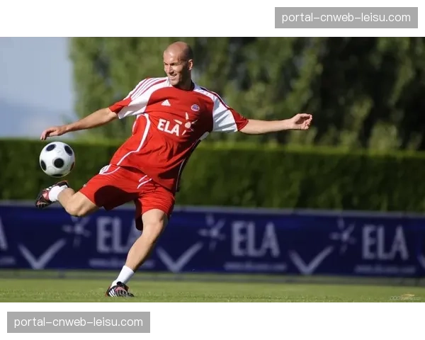 法国足球协会启动“马年草根计划”，目标新增五百块社区球场
